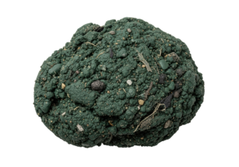 Irregular dark green gritty paste globule with metallic flecks, synthetic fibers, sediment particles isolated on a seamless transparent background, top-down macro shot, concept of industrial pollution