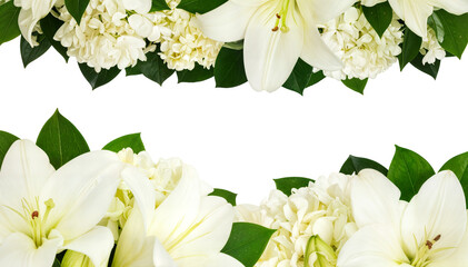PNG Transparent White Lily Floral Border with Green Leaves