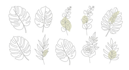 Obraz premium Set of minimalist botanical line art illustrations with monstera, eucalyptus, and rose elements on a white background