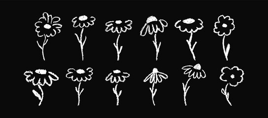 Set of white chamomile and chrysanthemum flowers in crayon and chalk texture. Small grass and petal shapes on paper create cheerful flora symbols for logos or kindergarten artwork. Vector