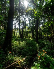 Lush forest floor bathed in sunlight (4)