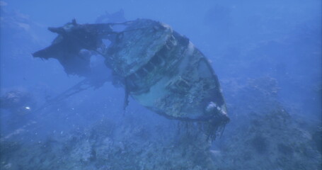 A submerged shipwreck lies at the bottom of the blue ocean, partially covered in marine growth. Fish swim nearby, illustrating the beauty of underwater ecosystems and history.