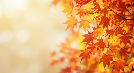 Crimson Canopy: Red Autumn Leaves in Luminous Fall Glow