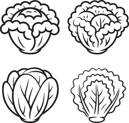 Set of Lettuce leaf Outline vector illustration isolated On Transparent Background