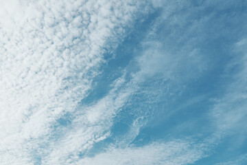 Obraz premium clouds in the blue sky