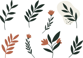 image_Abstract_botanical_a_seed277157_1756354527640_1