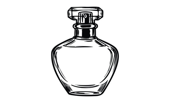 Elegant glass perfume bottle illustration with intricate details. Vector retro hand drawn illustration