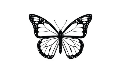 Elegant monarch butterfly silhouette with detailed wing patterns. Vector retro hand drawn illustration