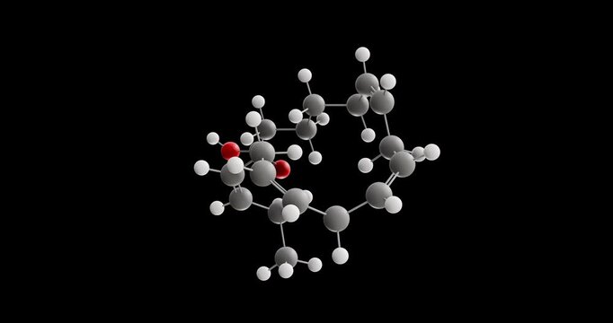 Stearidonic acid molecule, rotating 3D model of fatty acid, looped video on a black background
