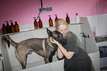 Young adult Caucasian woman hugging wet Belgian Malinois dog during grooming session in pet wash...