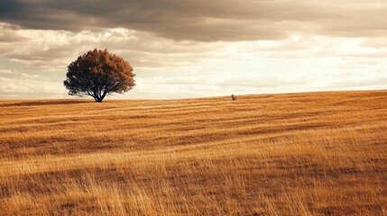 Solitary Tree in Golden Field