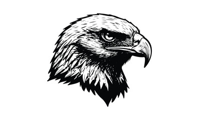 Fototapeta premium Monochrome eagle head drawing: fierce eagle illustration with intense gaze. Vector retro hand drawn illustration