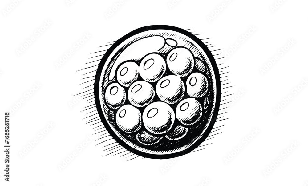 Wall mural sketch of a raspberry with detailed shading and textures. vector retro hand drawn illustration