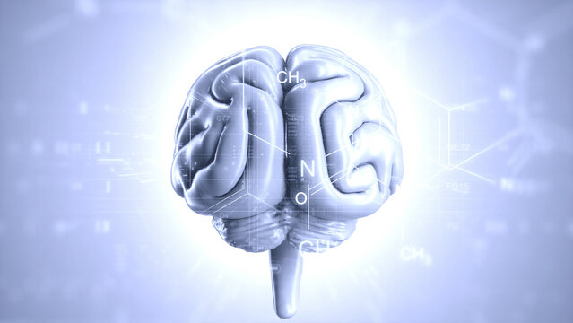 Futuristic Digital Rendering of Human Brain Abstract Chemical Structures and Blue Hue Highlight Neuroscience and Technology Connection
