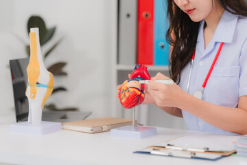 Medical professional explains heart anatomy using 3D model for healthcare education, training, and...