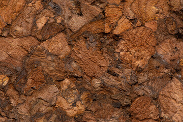 Close-up of dark cork wood texture
