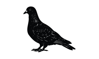 Obraz premium Black and white silhouette of pigeon standing. Vector retro hand drawn illustration