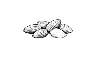 Black and white sketch of almonds clustered together. Vector retro hand drawn illustration