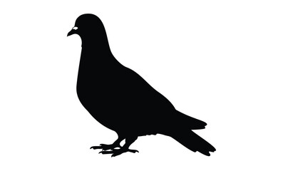 Fototapeta premium Silhouette of standing pigeon. Vector retro hand drawn illustration