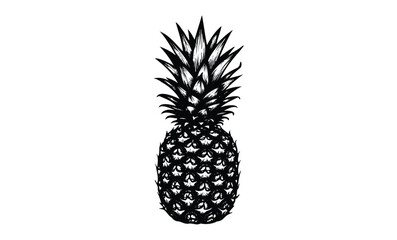 Obraz premium Intricate black and white pineapple illustration with detailed texture. Vector retro hand drawn illustration