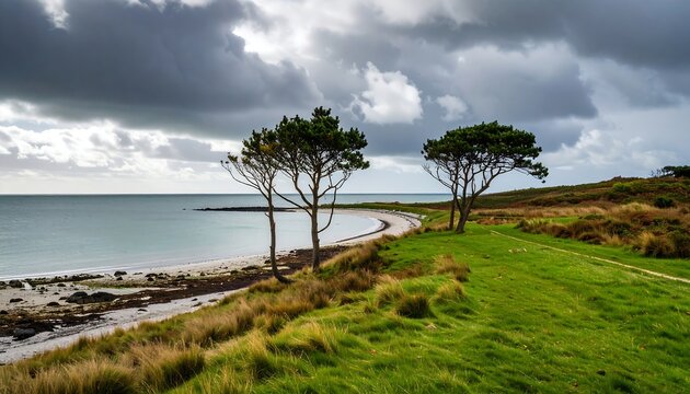 Coastal landscape with dramatic clouds. Two pine trees stand on a grassy bank overlooking a serene beach