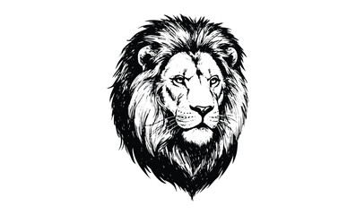 Obraz premium Intricate black and white lion portrait with detailed mane. Vector retro hand drawn illustration