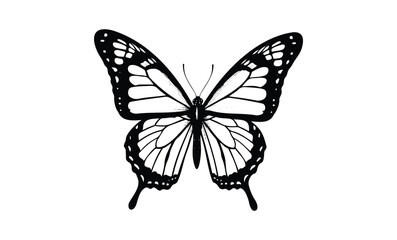 Black and white butterfly silhouette. Vector retro hand drawn illustration