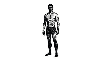 Fototapeta premium Sketch of young adult caucasian male with muscular physique in standing pose. Vector retro hand drawn illustration