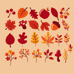 Autumn Leaves Clipart Set