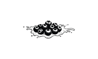Hand-drawn black and white blueberries with splash detail. Vector retro hand drawn illustration