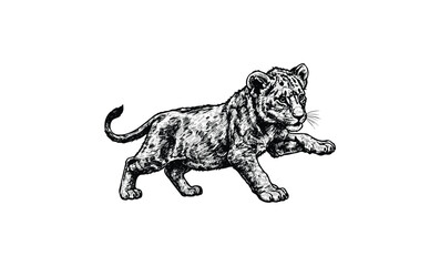 Obraz premium Detailed illustration of a playful lion cub with raised paw in sketch style. Vector retro hand drawn illustration