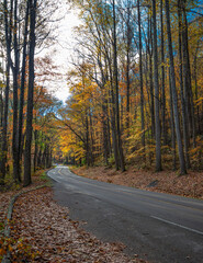 Fototapeta premium Vibrant autumn colors line a winding road near Cherokee NC USA
