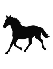 silhouette of a horse black