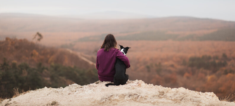 panoramic shot of a young woman hugging a border collie, sitting with their backs towards the camera on a rock, enjoying the autumn forest view