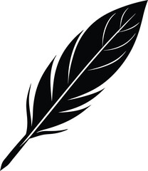 Fototapeta premium Detailed close-up of a person's eye showing iris texture and eyelash detail for beauty and vision concepts transparent background