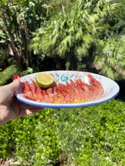 Woman&rsquo;s hand holding a ceramic plate filled with fresh shrimp, photographed from above with tropical trees in the background, seafood dish presentation
