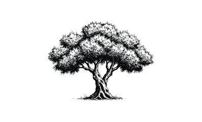 Intricate black and white sketch of a detailed tree with dense foliage. Vector retro hand drawn illustration