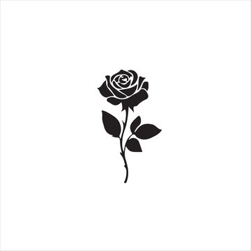 Elegant black rose with leaves on a stem, isolated on white background