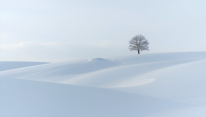 Solitary Tree Standing on Snowy Hills in Minimalist Winter Landscape