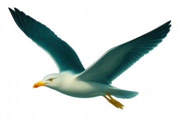 Seagull soaring with wings spread wide, displaying intricate plumage against luminous sky background, highlighting avian grace and freedom