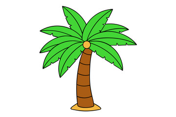palm tree vector illustration