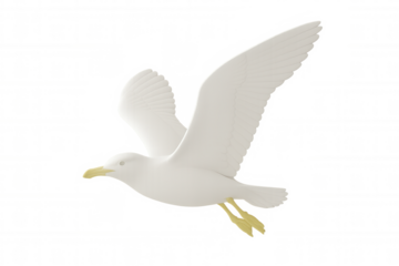 Elegant seagull soaring, wings extended wide, revealing intricate plumage against pristine white backdrop