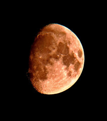 Luna © Steve Fossiant
