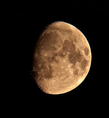 Luna © Steve Fossiant