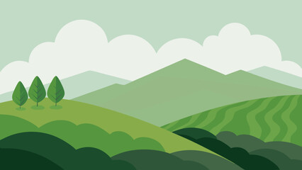 Obraz premium Serene Tea Plantation on a Misty Hillside a Peaceful Agricultural Nature Scene
