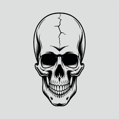 Fototapeta premium skull, death, skeleton, bone, human, halloween, head, vector, dead, illustration, anatomy, tattoo, horror, symbol, scary, evil, pirate, art, black, danger, teeth, gothic, icon, jaw, face