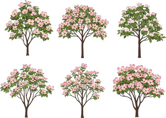 Naklejka premium Stylized flowering trees with pink blossoms and green leaves, spring floral trees, hand-drawn garden trees, botanical illustration set, nature clipart