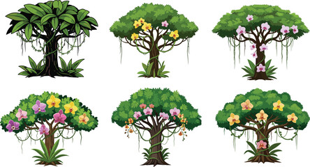 Tropical flowering jungle trees illustration set – exotic trees with orchids, vines, and lush foliage for nature prints, design, and decoration. ©  Alexander Creations