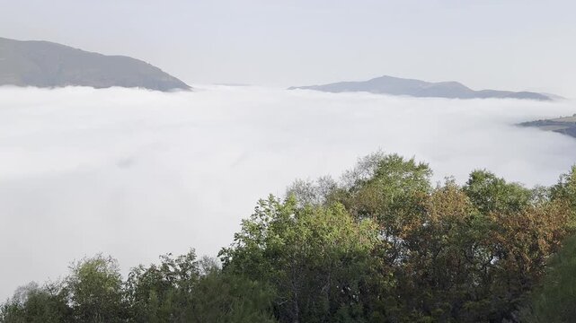 Leitariegos Pass, in Asturias, covered in fog with the mountains in the sun