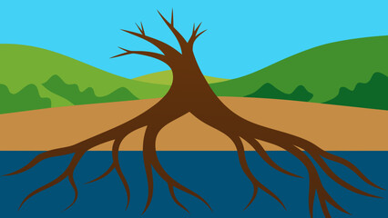 Observe Exposed Tree Roots Along a Riverbank a Natural Display of Strength and Ecosystem